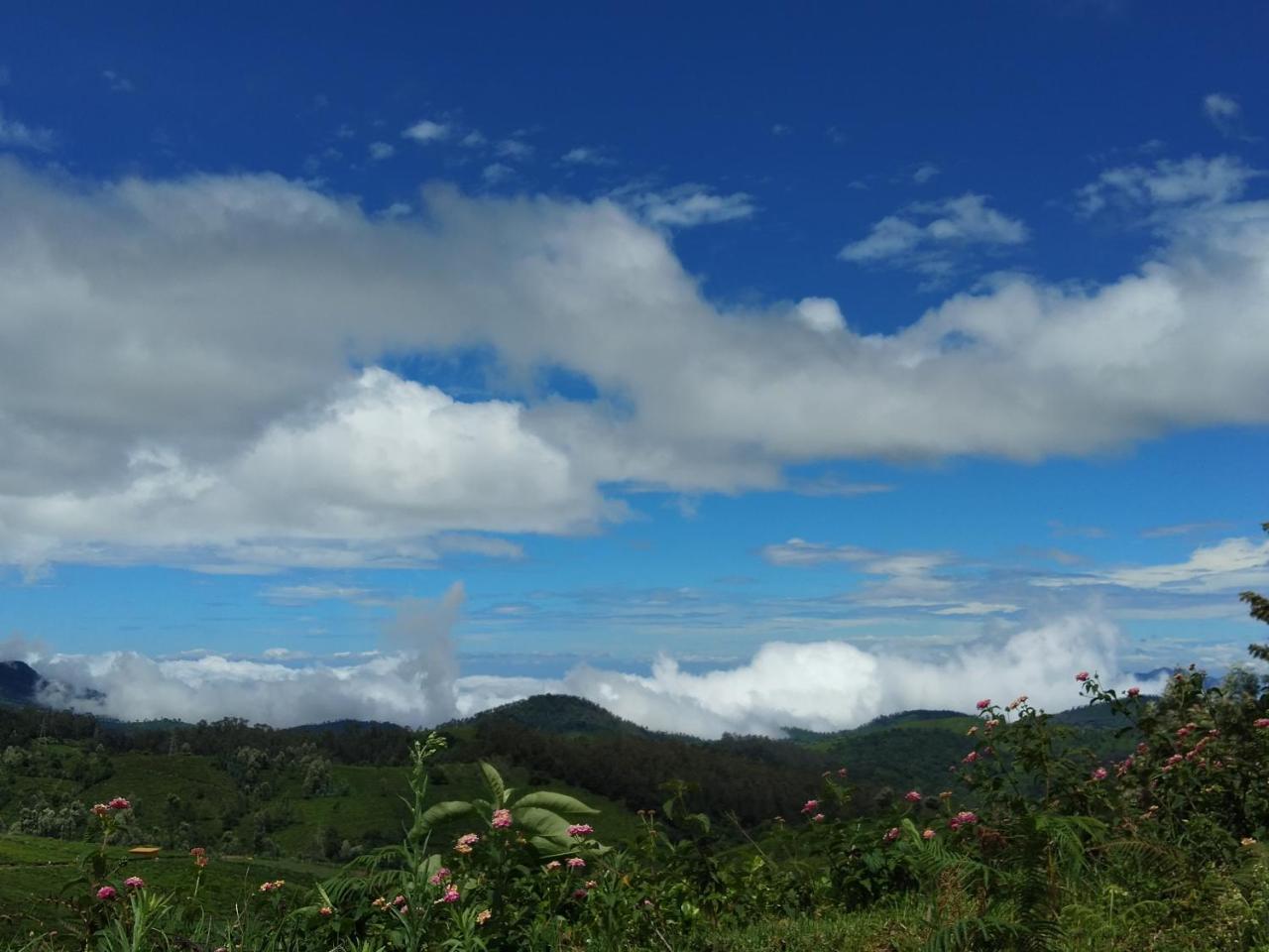 Drizzle Drop Inn Ooty Bagian luar foto